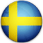 SWE Logo