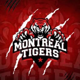 Team logo