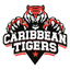 CT Logo